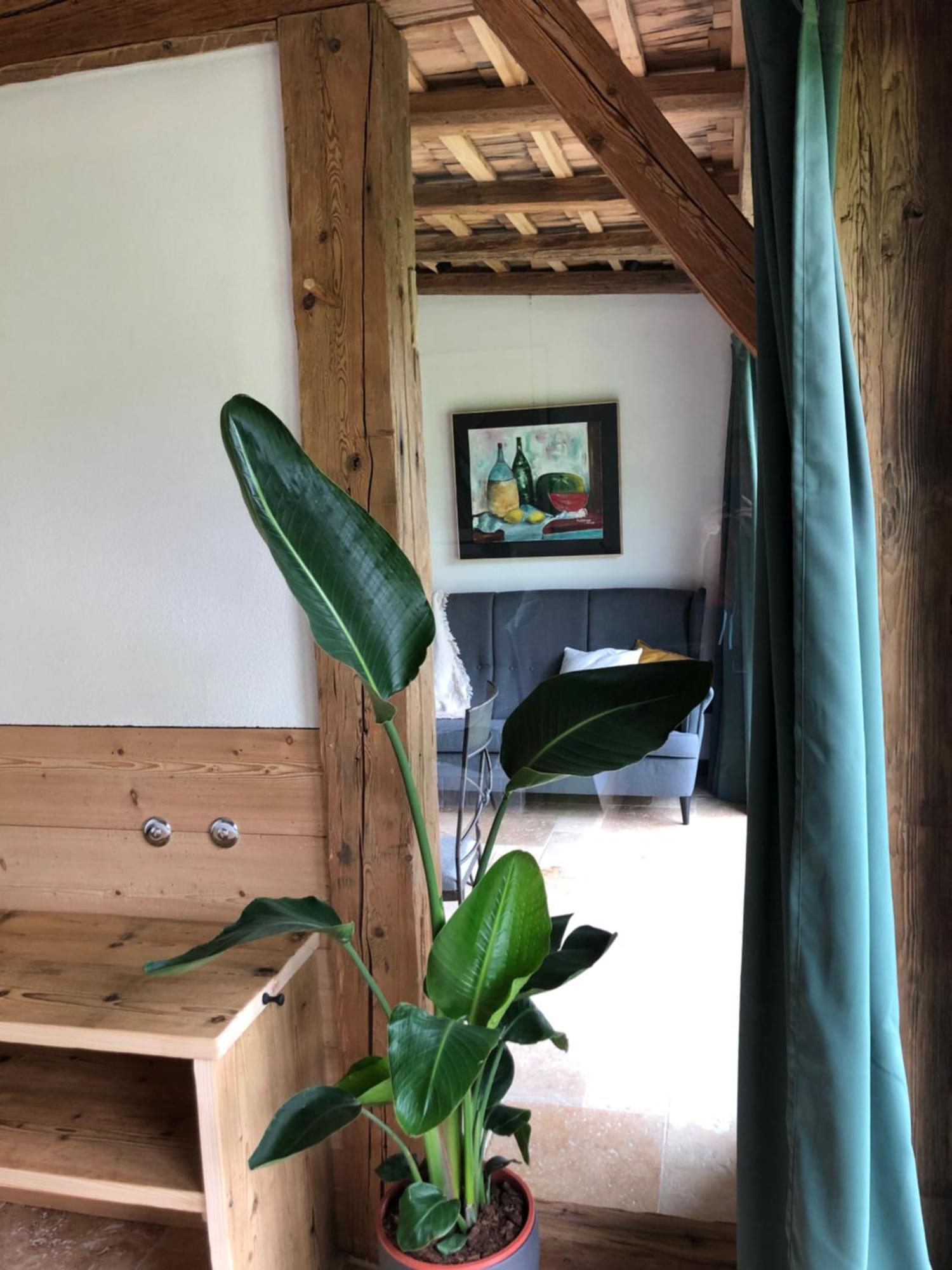 Apartment Stillleben Luxus Fuer Die Seele 阿布特瑙 外观 照片